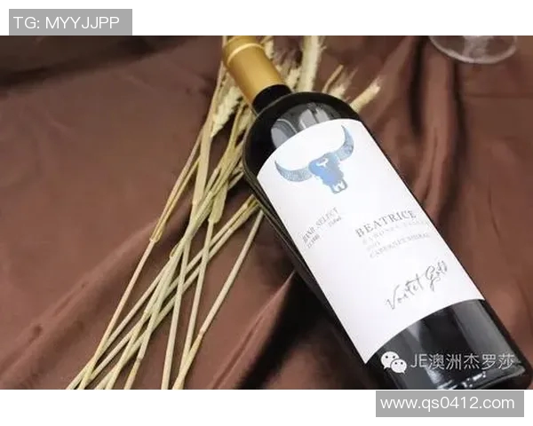 足球星瓶探索：揭秘球场背后的明星物品与文化符号