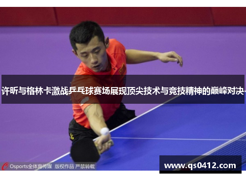 许昕与格林卡激战乒乓球赛场展现顶尖技术与竞技精神的巅峰对决